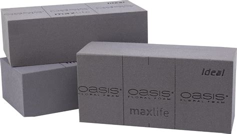 X Original Oasis Black Ideal Maxlife Steckschaum F R L Ngere