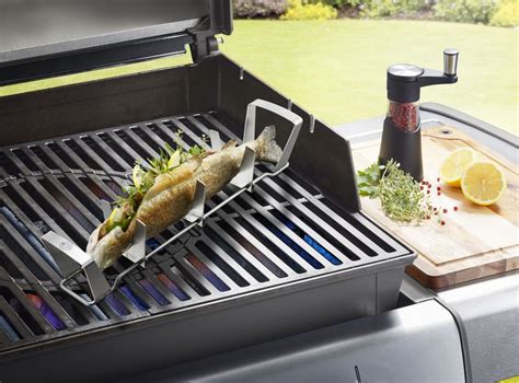 Держатель для рыбы GEFU BBQ купить в официальном интернет-магазине Gefu ...