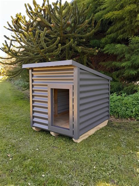Insulated Dog Kennel - Hammer and Saw
