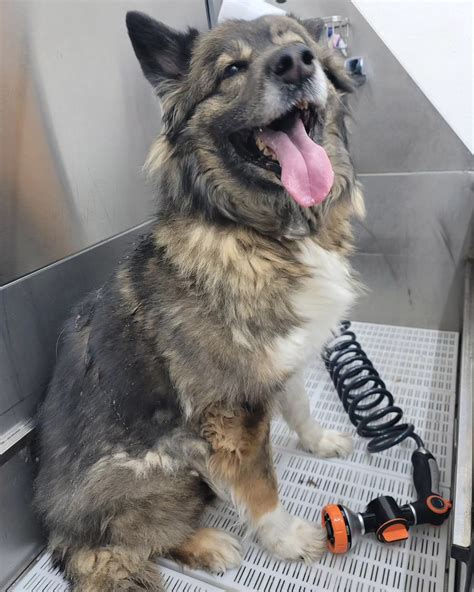 Cozy Pet Supplies | Upland CA