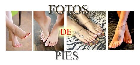 Cómo empezar a vender fotos de mis pies Haras Dadinco