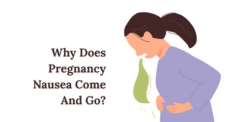 Why Does Pregnancy Nausea Come And Go Understanding Waves