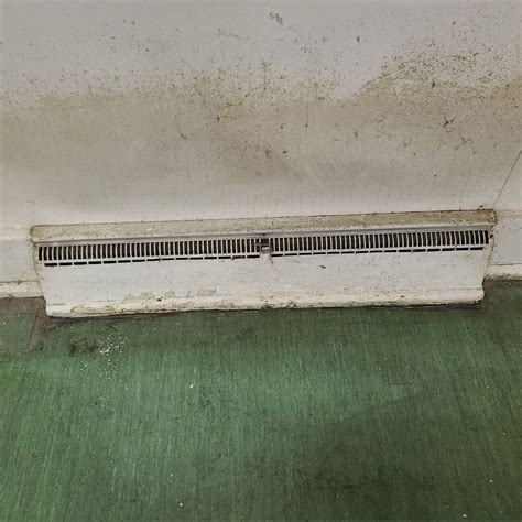 Why Is My Hot Water Baseboard Heater Not Working At Chris Jessica Blog