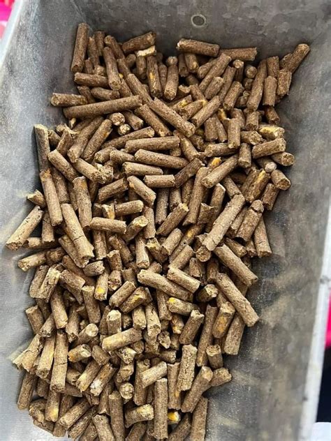 pig starter feed packaging type pp bag packaging size  kg
