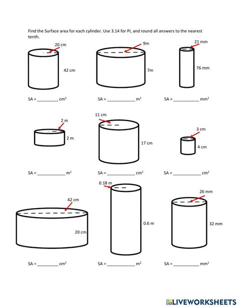 Surface Area Of A Cylinder Worksheet Worksheets Library