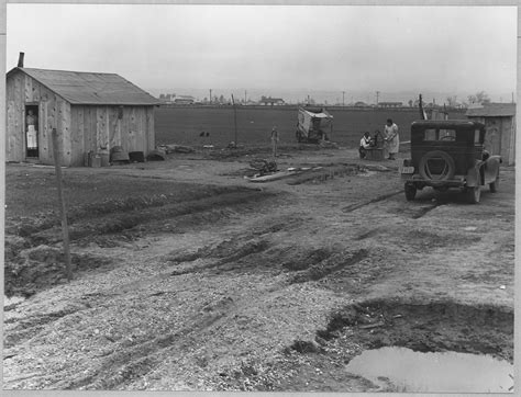 Western Settler of Canada | A Website Based On Western Settlers of Canada…