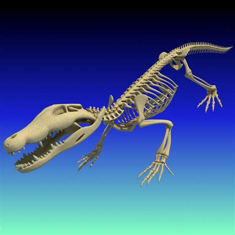 Esqueleto De Crocodilo Modelo 3D 99 Lwo Max 3ds Obj 3dm Free3D