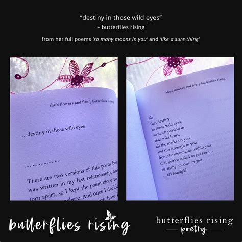 destiny in those wild eyes © - butterflies rising quote | April 13, 2020