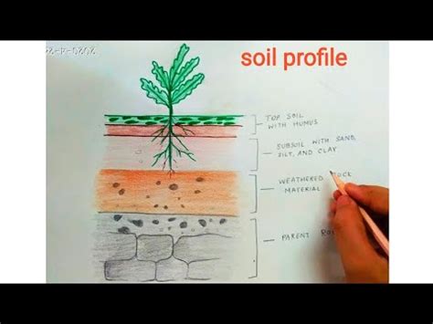 Soil Profile Diagrams Labelling