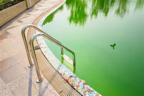 Pourquoi une piscine tourne au vert Conseils pour s en débarrasser