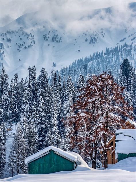 10 Best Things To Do In Kashmir Usa Express