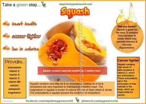 Squash Butternut Squash Benefits Squash Benefits Food Education