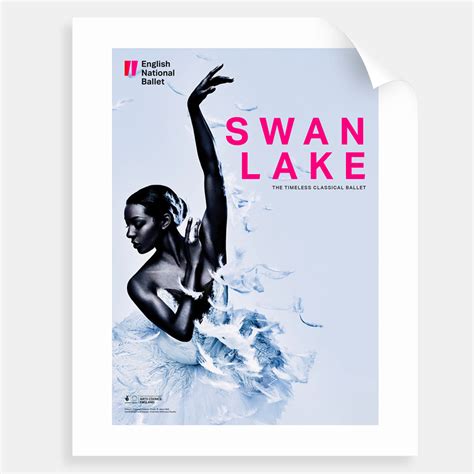 Swan Lake Custom Print English National Ballet