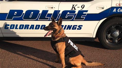 Springs Pd K9 Max Facebook Colorado Springs Police K 9 Unit