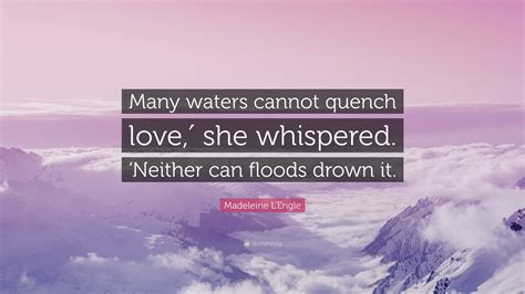Many Waters Madeleine Lengle Summary 3