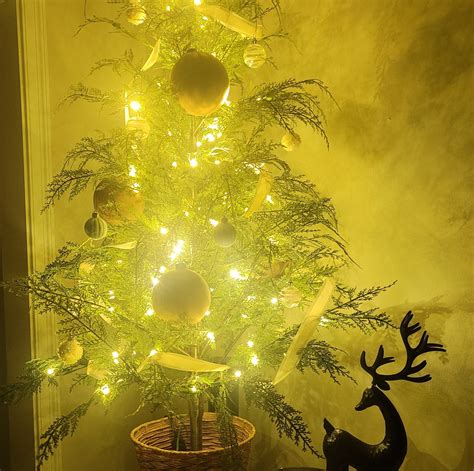 Tips for writing and submitting hafemeister funeral home obituaries 17