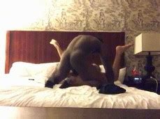 White Boy Gets Owned By Muscle Stud Gay Porn Pornhub