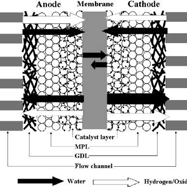 Schematic diagram of a PEMFC | Download Scientific Diagram