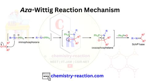 Aza Wittig Reaction Mechanism Examples