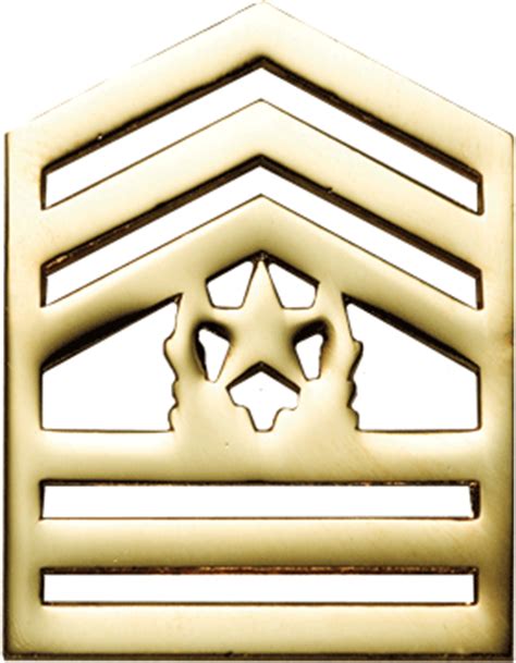 No-Shine Army ROTC Rank (RC-110) Command Sergeant Major | US Military