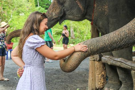 The Best Elephant Sanctuary in Thailand for a good experience