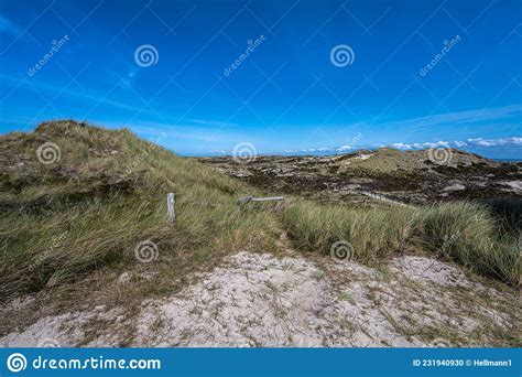 Paisaje De Dunas En Sylt Foto De Archivo Imagen De Pala