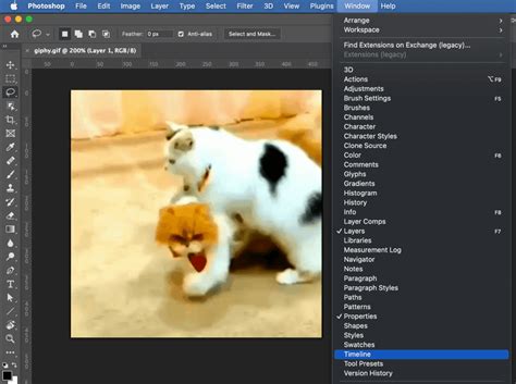 How To Edit Animated GIFs In Photoshop 4 Quick Steps