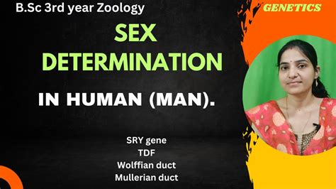 Sex Determination In Human B Sc 3rd Year SRY Gene TDF Chromosomal