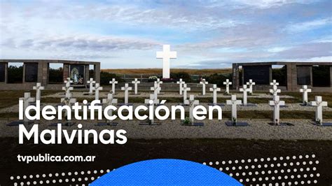 Ciencia Y Derechos Humanos Identificaci N En Malvinas La Liga De La