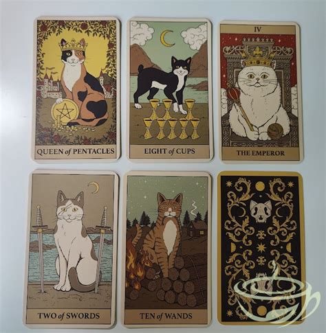 Cats Rule The Earth Tarot Deck Library Tarot Tea Me A Tarot