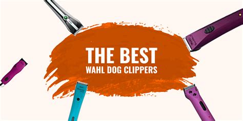 how to use wahl clippers for dogs