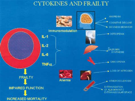 Effects Of Cytokines On Multiple Organ Systems Which Can Result In The