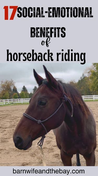 The Benefits Of Horseback Riding Artofit