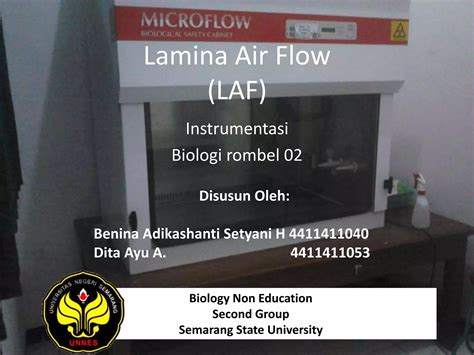 Biounnes Lamina Air Flow Laf Ppt