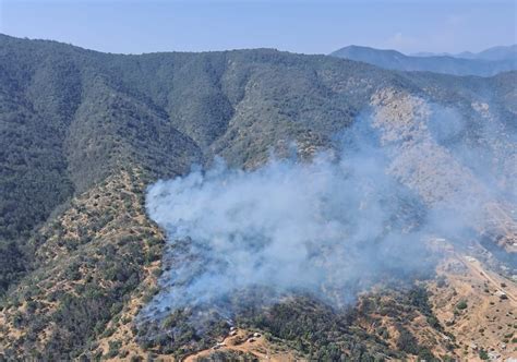 Senapred Declara Alerta Roja En Limache Por Incendio Forestal G5noticias