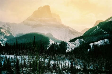 图片素材 景观 性质 森林 荒野 雪 冬季 光 云 薄雾 早上 黎明 谷 山脉 反射 阿尔卑斯山 高原