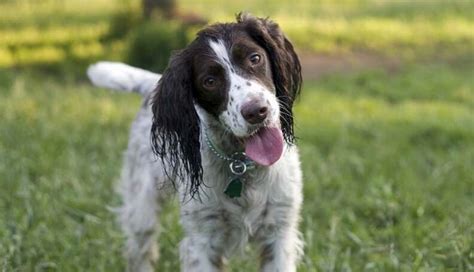 14-Year-Old Hero Saves Disabled Man From Fire, Then Goes Back In For ...