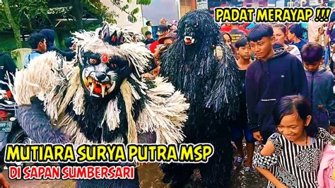 Kuda Lumping Mutiara Surya Putra Msp Di Sapan Sumbersari Padat