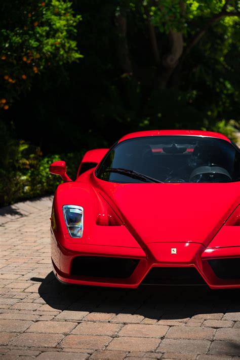Enzo