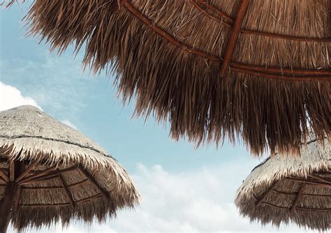 Six of the Safest Cities in Mexico: A Travel Guide - Travel Noire