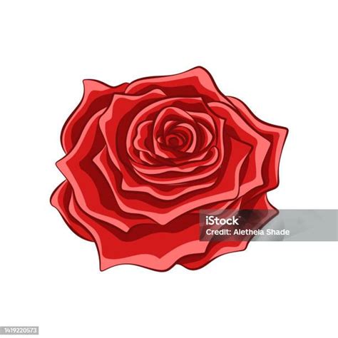 Fleur De Rose Rouge Conception Réaliste Détaillée Illustration De