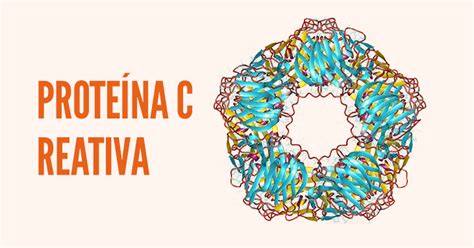 Proteina C Reativa 12mg/l O Que Significa - Tudo sobre a Proteína C reativa | Newslab