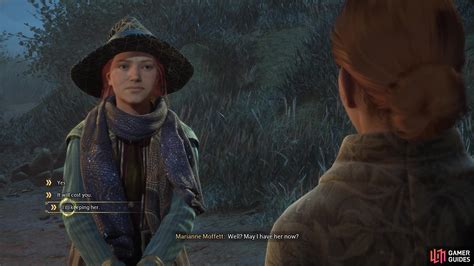 catch gwyneira birds   feather walkthrough world side