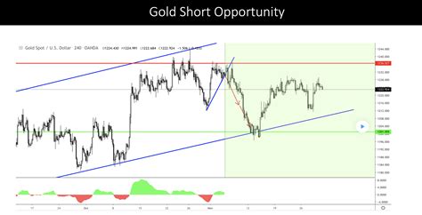 FX traders in Instagram!! : Forex