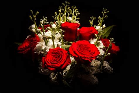 Bouquets Roses Matthiola Black Background Red Hd Wallpaper Rare