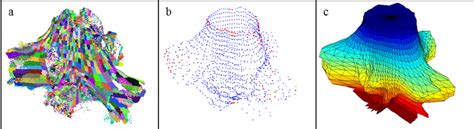 construction   closed surface stump model  stump portion
