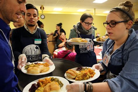 Volunteer programs will soon expand at shelters near me for dogs 16