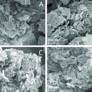 elemental composition  p cn cocnand cocnpns  scientific