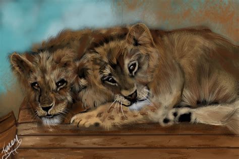 siblings behance
