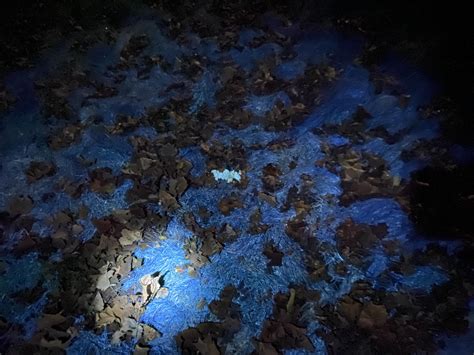 Wvdoc inmate search portal makes finding records much easier 20